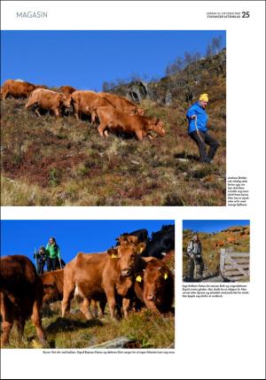 aftenbladet_pluss-20201024_000_00_00_025.pdf