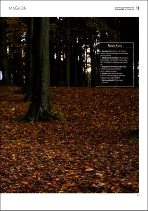 aftenbladet_pluss-20201107_000_00_00_011.pdf