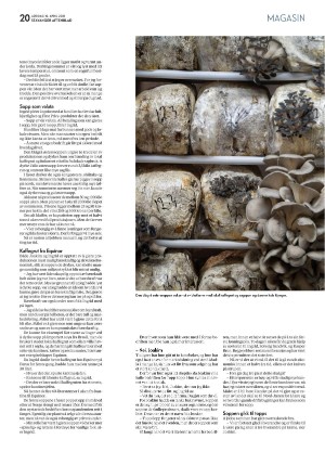 aftenbladet_pluss-20210410_000_00_00_020.pdf
