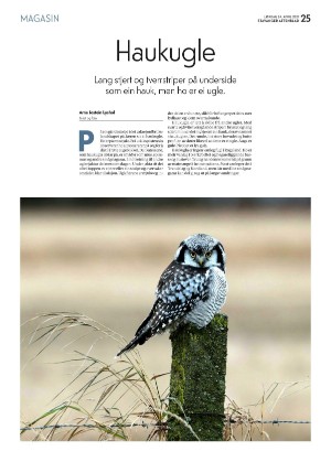 aftenbladet_pluss-20210424_000_00_00_025.pdf