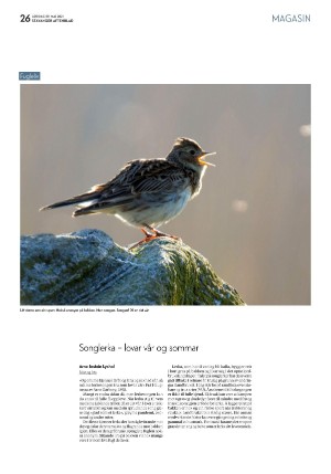 aftenbladet_pluss-20210529_000_00_00_026.pdf