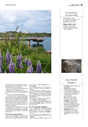 aftenbladet_pluss-20210605_000_00_00_015.pdf