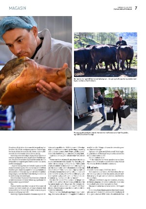 aftenbladet_pluss-20210612_000_00_00_007.pdf