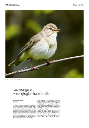 aftenbladet_pluss-20210619_000_00_00_026.pdf