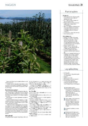 aftenbladet_pluss-20210904_000_00_00_021.pdf