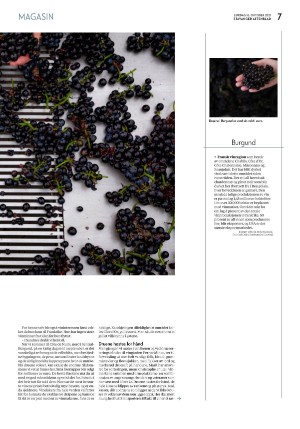 aftenbladet_pluss-20211016_000_00_00_007.pdf