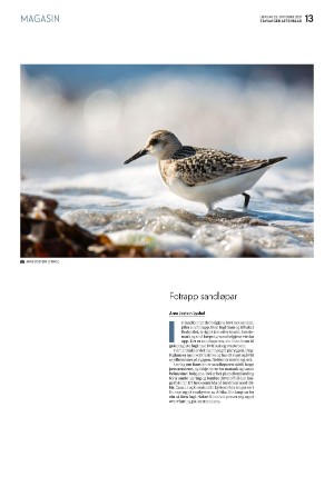 aftenbladet_pluss-20211023_000_00_00_013.pdf