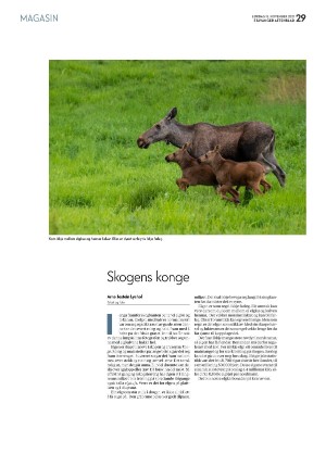 aftenbladet_pluss-20211113_000_00_00_029.pdf