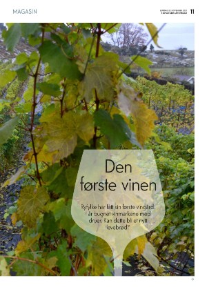aftenbladet_pluss-20211127_000_00_00_011.pdf