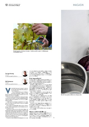 aftenbladet_pluss-20211127_000_00_00_012.pdf