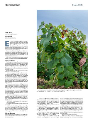 aftenbladet_pluss-20211127_000_00_00_018.pdf