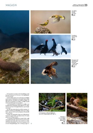 aftenbladet_pluss-20220205_000_00_00_023.pdf
