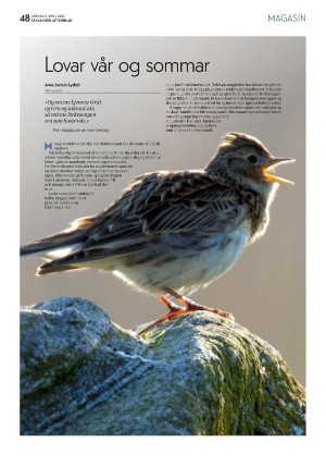 aftenbladet_pluss-20220402_000_00_00_048.pdf