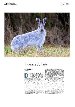 aftenbladet_pluss-20220409_000_00_00_048.pdf