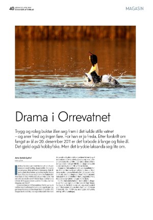 aftenbladet_pluss-20220423_000_00_00_040.pdf