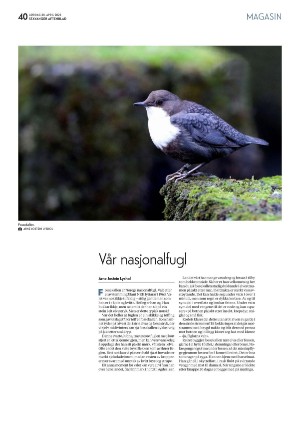 aftenbladet_pluss-20220430_000_00_00_040.pdf