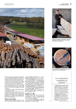 aftenbladet_pluss-20220507_000_00_00_007.pdf
