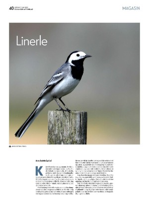 aftenbladet_pluss-20220507_000_00_00_040.pdf