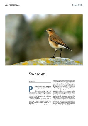 aftenbladet_pluss-20220521_000_00_00_040.pdf
