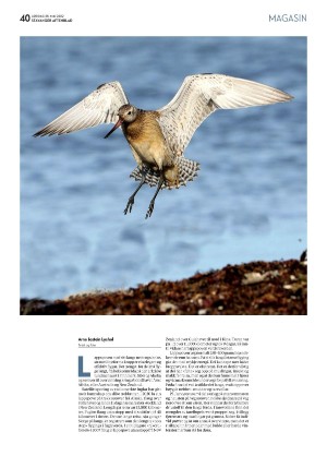 aftenbladet_pluss-20220528_000_00_00_040.pdf