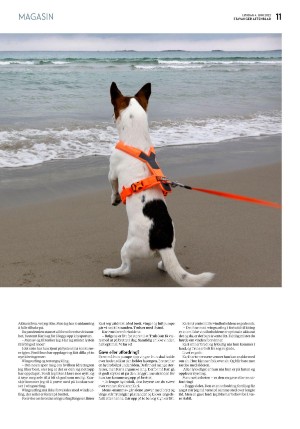 aftenbladet_pluss-20220604_000_00_00_011.pdf
