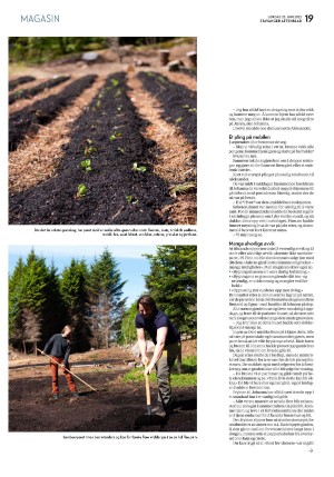 aftenbladet_pluss-20220625_000_00_00_019.pdf