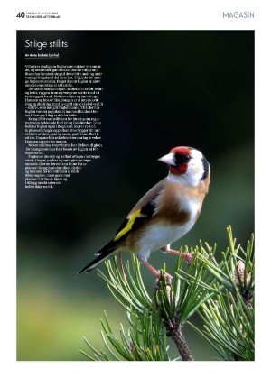 aftenbladet_pluss-20220827_000_00_00_040.pdf