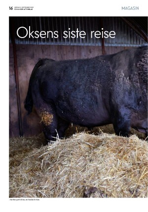 aftenbladet_pluss-20220903_000_00_00_016.pdf