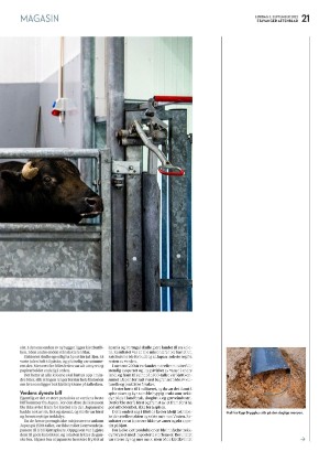 aftenbladet_pluss-20220903_000_00_00_021.pdf