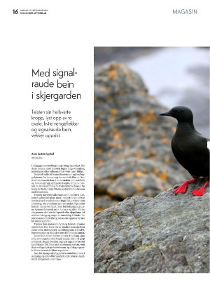 aftenbladet_pluss-20220917_000_00_00_016.pdf
