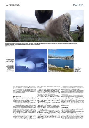 aftenbladet_pluss-20221001_000_00_00_016.pdf