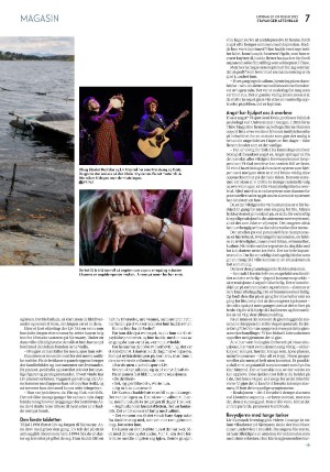 aftenbladet_pluss-20221029_000_00_00_007.pdf