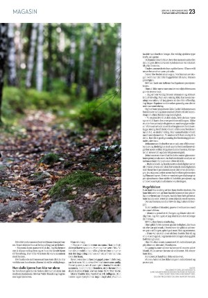 aftenbladet_pluss-20221105_000_00_00_023.pdf