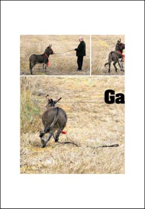 aftenposten_amagasinet-20071109_000_00_00_006.pdf