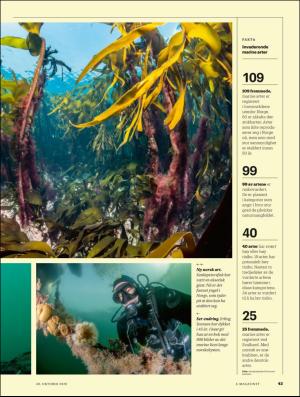 aftenposten_amagasinet-20201030_000_00_00_043.pdf