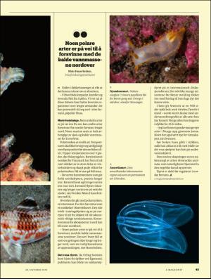 aftenposten_amagasinet-20201030_000_00_00_045.pdf