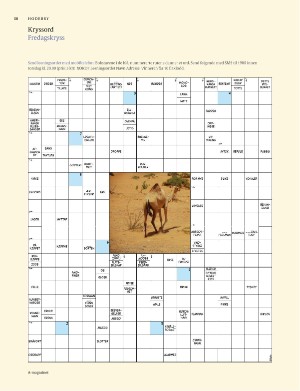 aftenposten_amagasinet-20250815_000_00_00_050.pdf