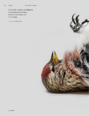 aftenposten_amagasinet-20251031_000_00_00_018.pdf aftenposten_amagasinet-20251031_000_00_00_018.pdf