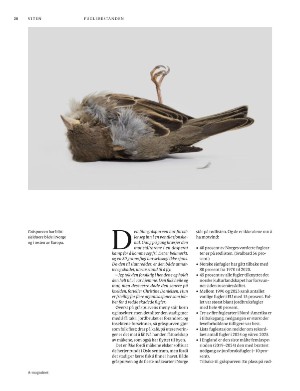 aftenposten_amagasinet-20251031_000_00_00_020.pdf aftenposten_amagasinet-20251031_000_00_00_020.pdf