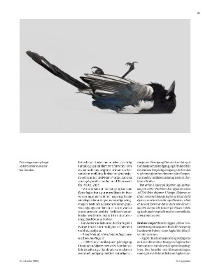 aftenposten_amagasinet-20251031_000_00_00_021.pdf aftenposten_amagasinet-20251031_000_00_00_021.pdf