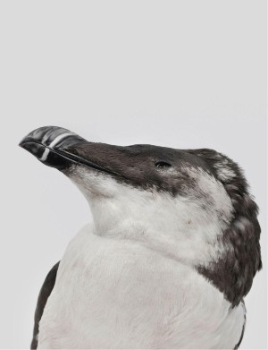 aftenposten_amagasinet-20251031_000_00_00_022.pdf aftenposten_amagasinet-20251031_000_00_00_022.pdf