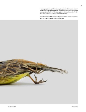 aftenposten_amagasinet-20251031_000_00_00_025.pdf aftenposten_amagasinet-20251031_000_00_00_025.pdf