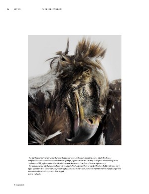 aftenposten_amagasinet-20251031_000_00_00_026.pdf aftenposten_amagasinet-20251031_000_00_00_026.pdf