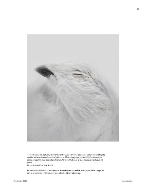 aftenposten_amagasinet-20251031_000_00_00_027.pdf aftenposten_amagasinet-20251031_000_00_00_027.pdf