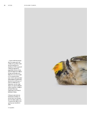 aftenposten_amagasinet-20251031_000_00_00_028.pdf aftenposten_amagasinet-20251031_000_00_00_028.pdf