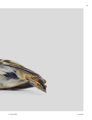 aftenposten_amagasinet-20251031_000_00_00_029.pdf aftenposten_amagasinet-20251031_000_00_00_029.pdf