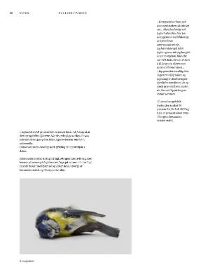 aftenposten_amagasinet-20251031_000_00_00_030.pdf aftenposten_amagasinet-20251031_000_00_00_030.pdf