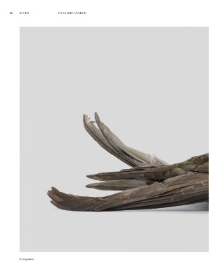 aftenposten_amagasinet-20251031_000_00_00_032.pdf aftenposten_amagasinet-20251031_000_00_00_032.pdf