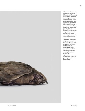 aftenposten_amagasinet-20251031_000_00_00_033.pdf aftenposten_amagasinet-20251031_000_00_00_033.pdf