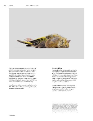 aftenposten_amagasinet-20251031_000_00_00_034.pdf aftenposten_amagasinet-20251031_000_00_00_034.pdf